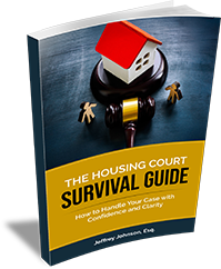 The Family Court Survival Guide